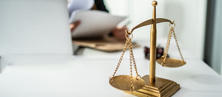 Сотрудница эскорт агентства прорабатывает договор с юристом
